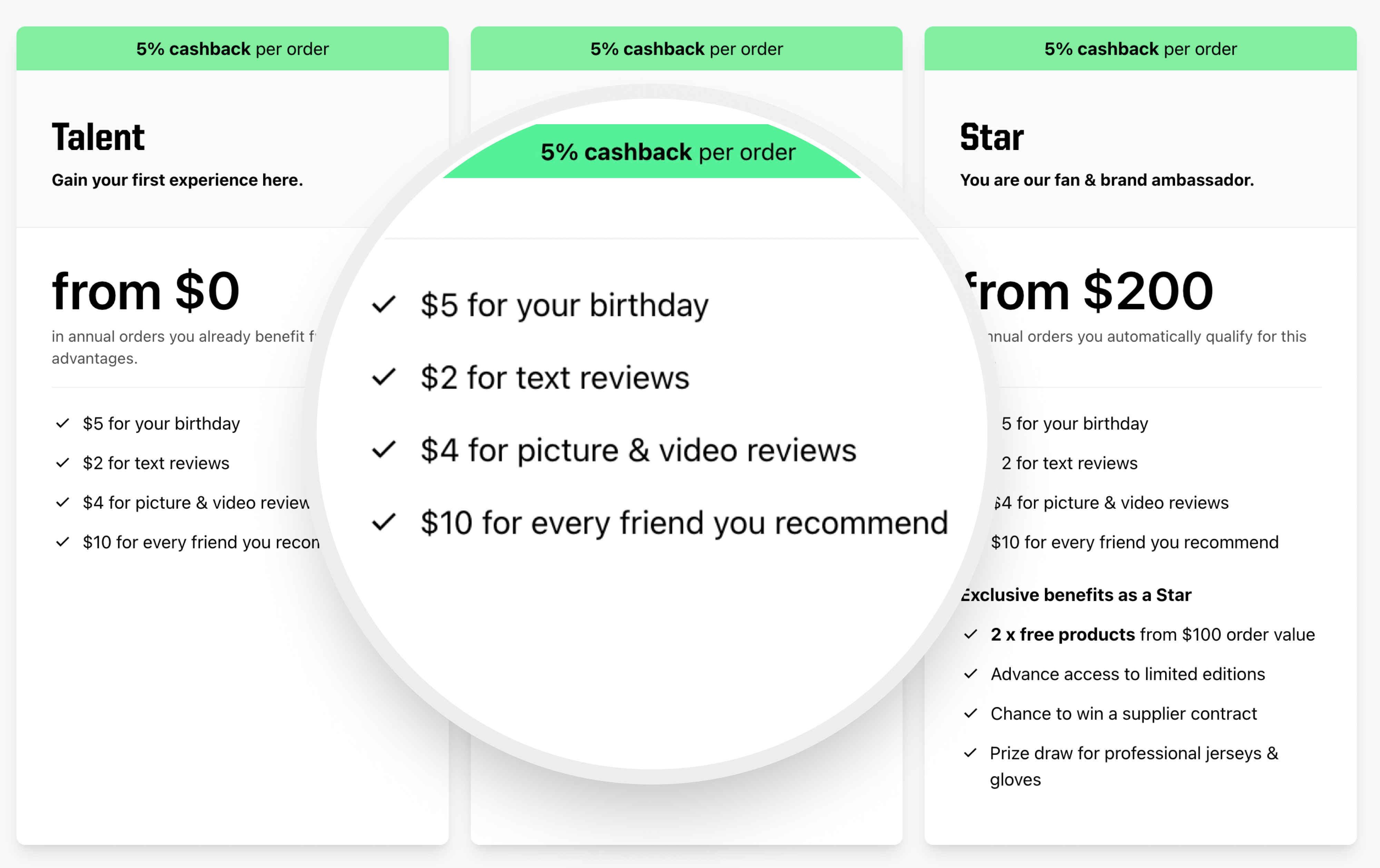 Store Credit can be optimally combined with our VIP tier system.